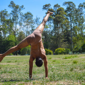 19 de febrero 2026 (7 am)